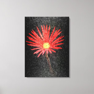 Red Daisy auf schwarzem Hintergrund   Abstrakte Ma Leinwanddruck