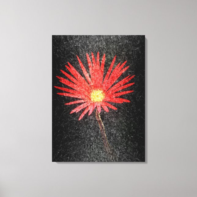 Red Daisy auf schwarzem Hintergrund | Abstrakte Ma Leinwanddruck (Vorderseite)