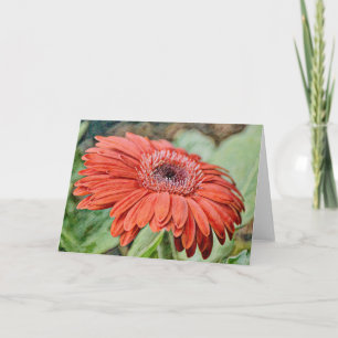 Red Daisy Blume Art Note Card Karte