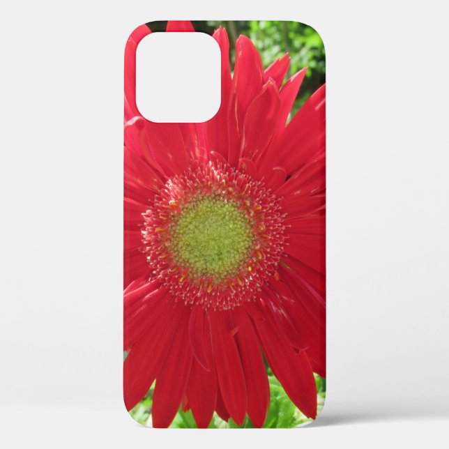 Red Daisy Floral Fotografy Case-Mate iPhone Hülle (Rückseite)