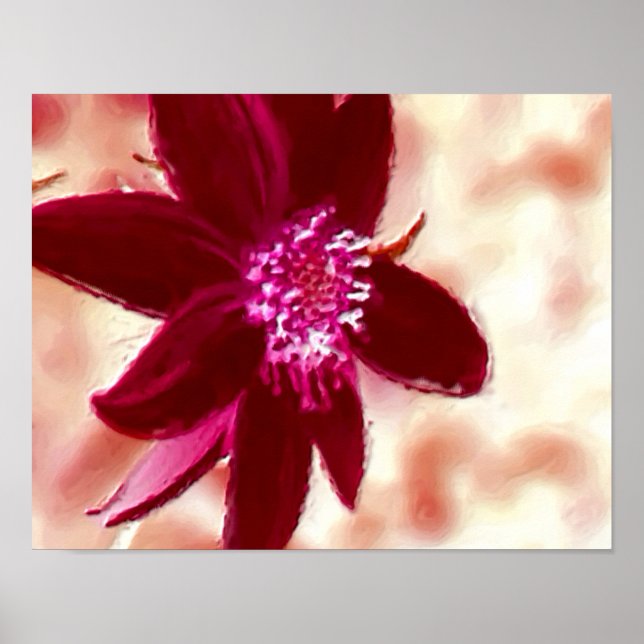 Red Daisy Foto Malerei Blume Kunst Poster (Vorne)