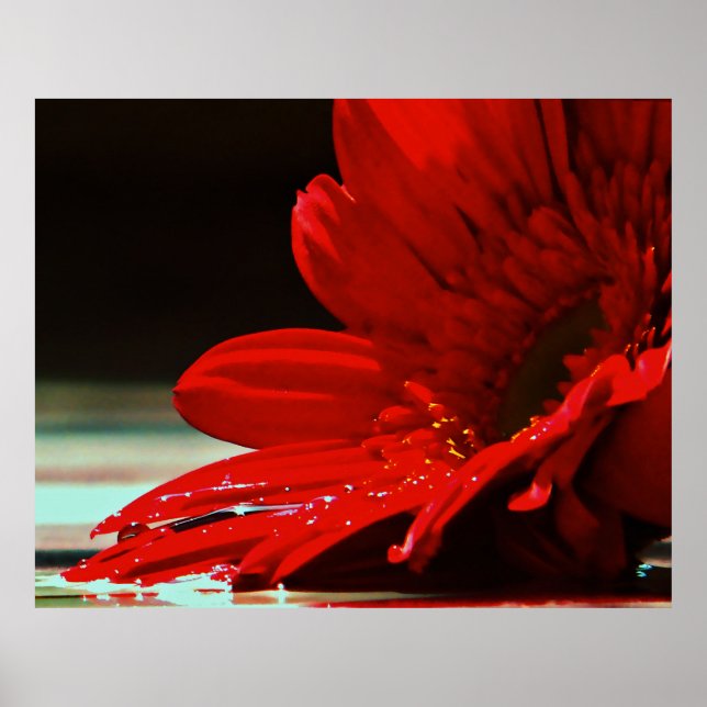 Red Daisy Gerbera Blume Poster (Vorne)