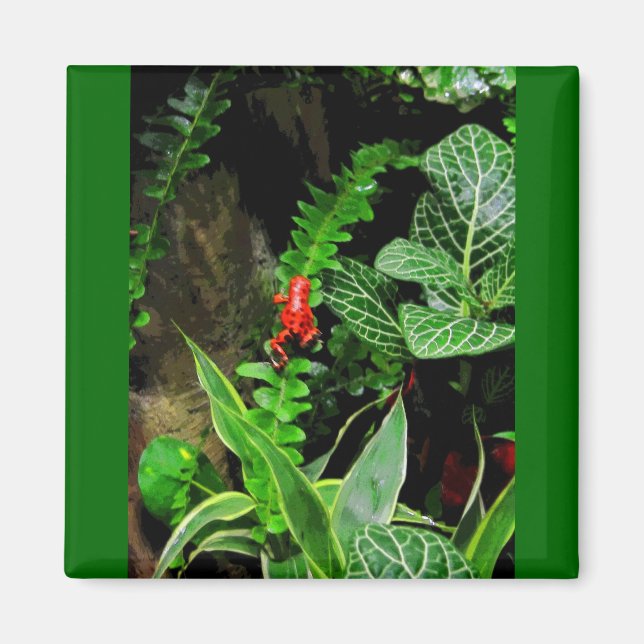 Red Dart Frog CB Magnet (Vorne)