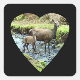 Red Deer Doe and Baby Deer Quadratischer Aufkleber
