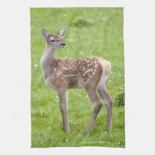 Red Deer Fawn Kitchtuch Geschirrtuch