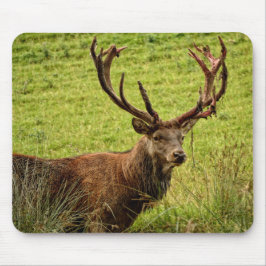 Red Deer Stag Mousepad