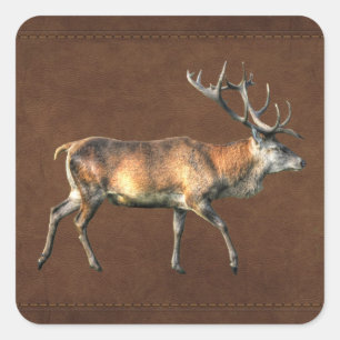 Red Deer Stag Wildlife Animal Design Quadratischer Aufkleber
