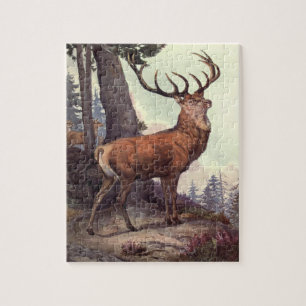 Red Deer von Winifred Austen, Vintage Wildtiere Puzzle