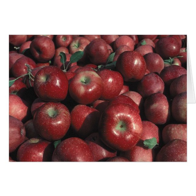 Red Delicious Apple Crop (Vorderseite (Horizontal))