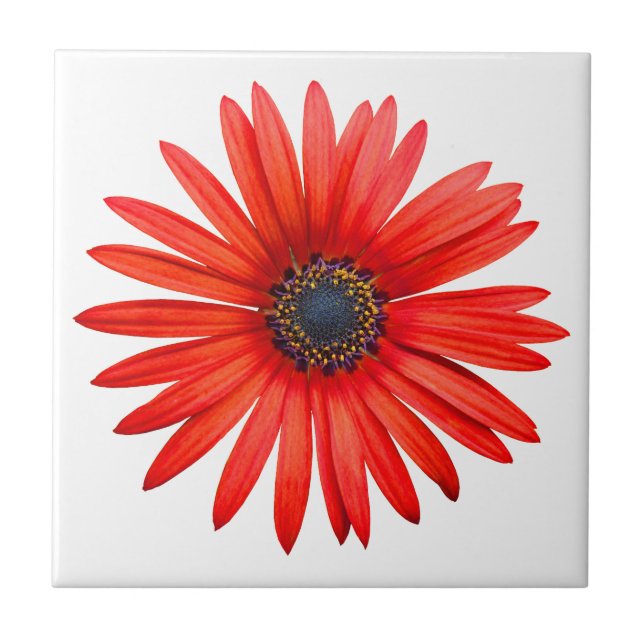 Red Devil Fliese (Vorderseite)