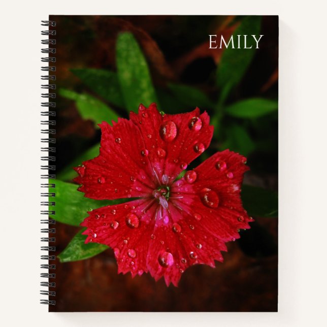 Red Dianthus Blume & Raindrops Foto, Individuelle  Notizbuch (Vorderseite)