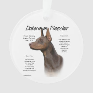Red Doberman History Ornament