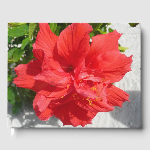 Red Double Hibisken Blume Gästebuch