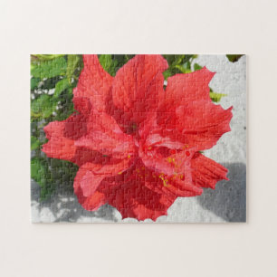 Red Double Hibisken Blume Puzzle