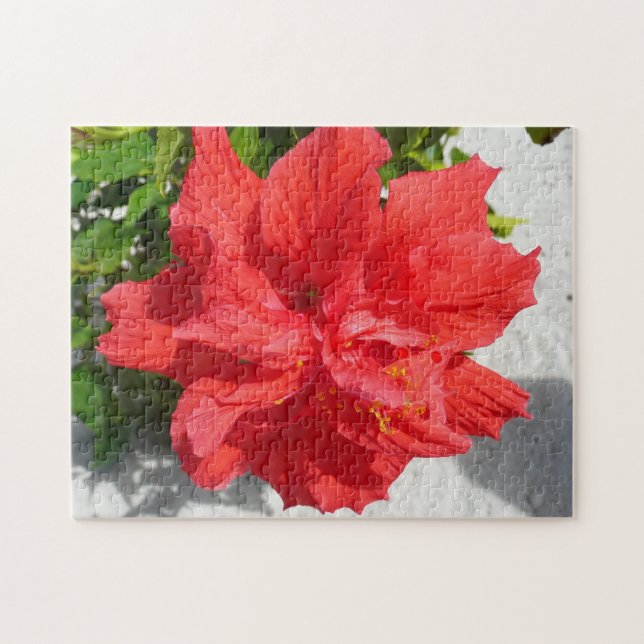 Red Double Hibisken Blume Puzzle (Horizontal)