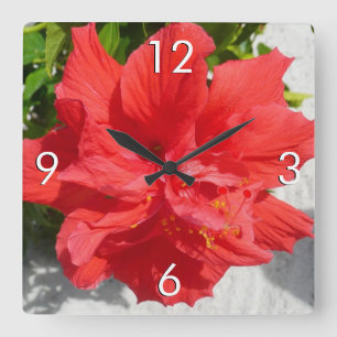 Red Double Hibisken Blume Quadratische Wanduhr