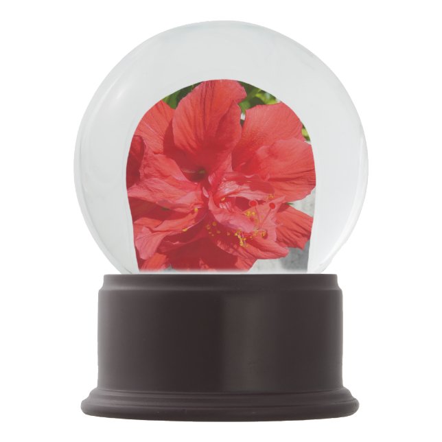 Red Double Hibisken Blume Schneekugel (Rückseite)
