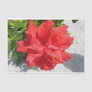 Red Double Hibisken Blume Seidenpapier