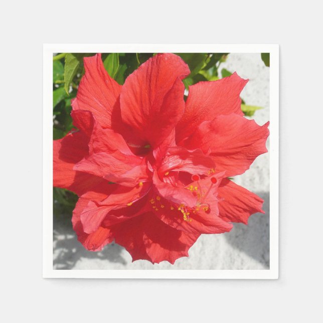 Red Double Hibisken Blume Serviette (Vorderseite)