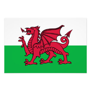 Red Dragon Celtic Flag Wales & Welsh Fotodruck