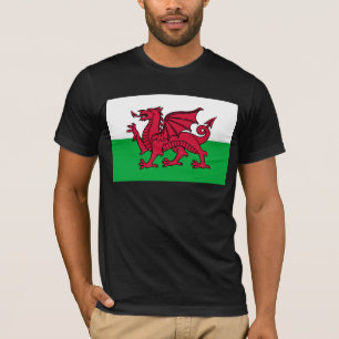 Red Dragon Celtic Flag Wales & Welsh T-Shirt