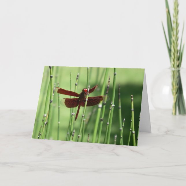 Red Dragonfly Note Card Karte (Vorderseite)