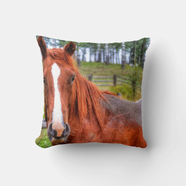 Red Dun Ranch Horse Animal Lover Foto 2 Kissen (Vorderseite)