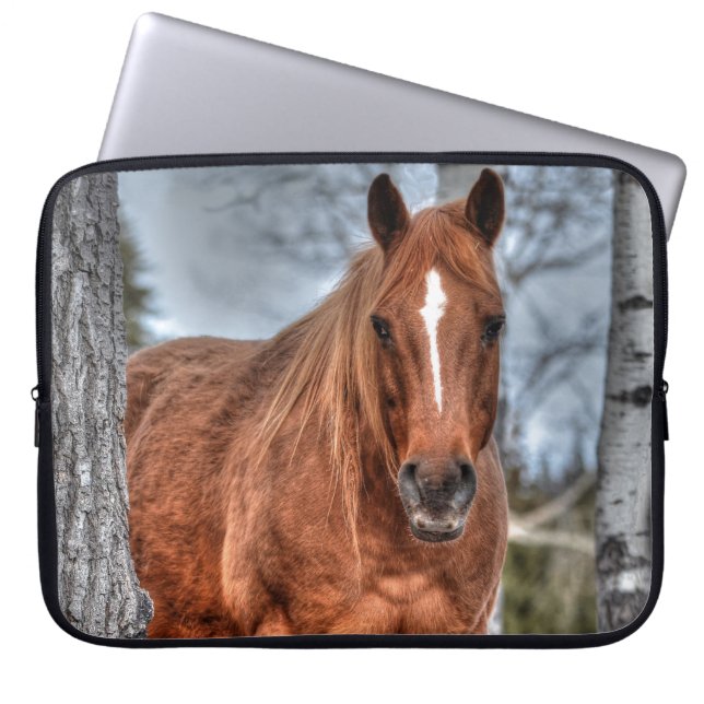 Red Dun Ranch Horse Animal Lover Foto Laptopschutzhülle (Vorderseite)