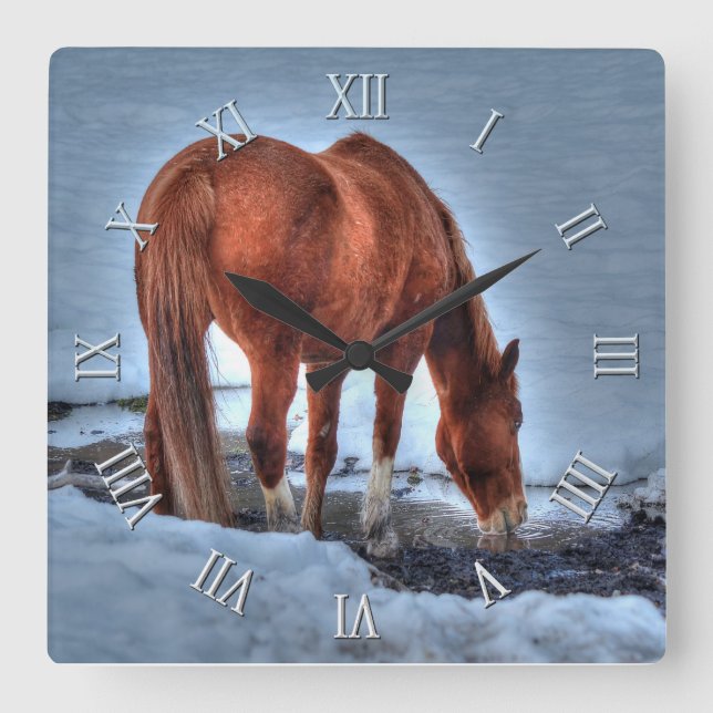 Red Dun Ranch Horse Drink an einem verschneiten Te Quadratische Wanduhr (Vorderseite)
