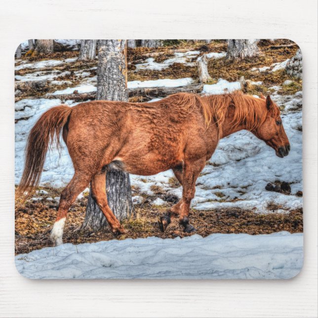 Red Dun Ranch Horse Equine Fotografie Mousepad (Vorne)