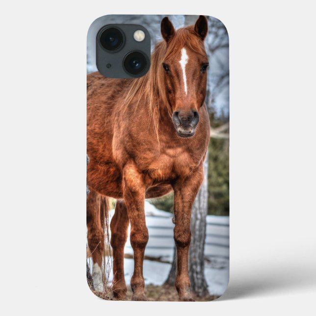 Red Dun Ranch Horse Equine Lover Foto Case-Mate iPhone Hülle (Rückseite)