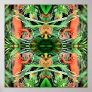 Red Eft Orange Salamander Mirror Abstrakt Poster