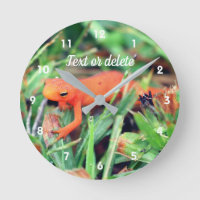 Red Eft Orange Salamander Nature Personalisiert