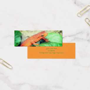 Red Eft Salamander Nature Mini Lesezeichen