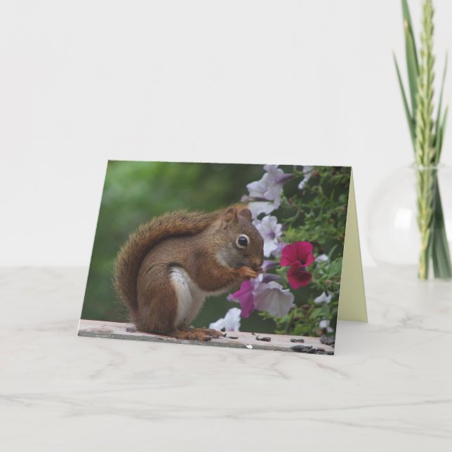 Red Eichhörnchen Denken Sie an Sie Karte (Vorderseite)