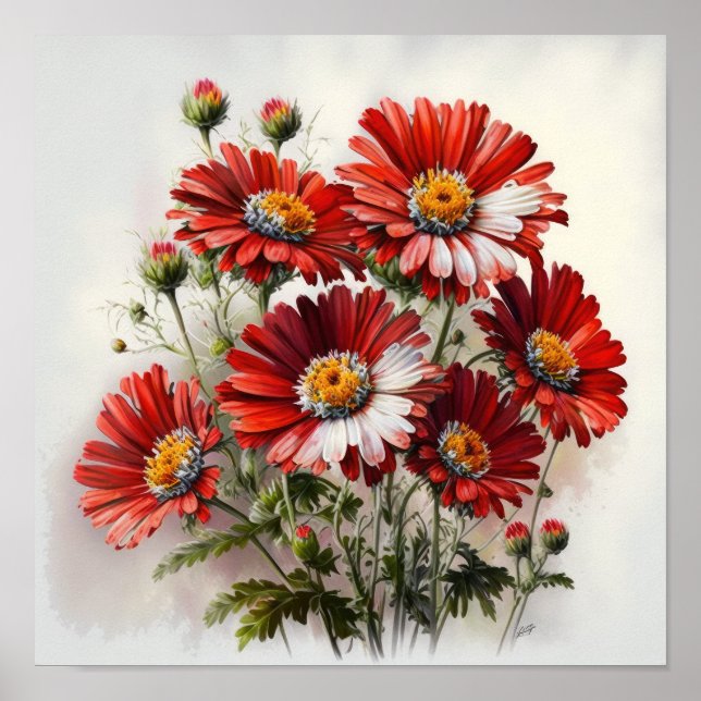 Red English Daisy Blume Art Print Poster (Vorne)