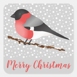 Red Eurasian Bullfinch Bird Grau Winter Weihnachte Quadratischer Aufkleber
