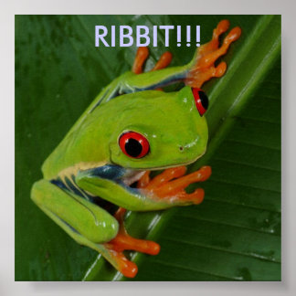 Red-Eye-Tree-Frog, RIBBIT!! Poster