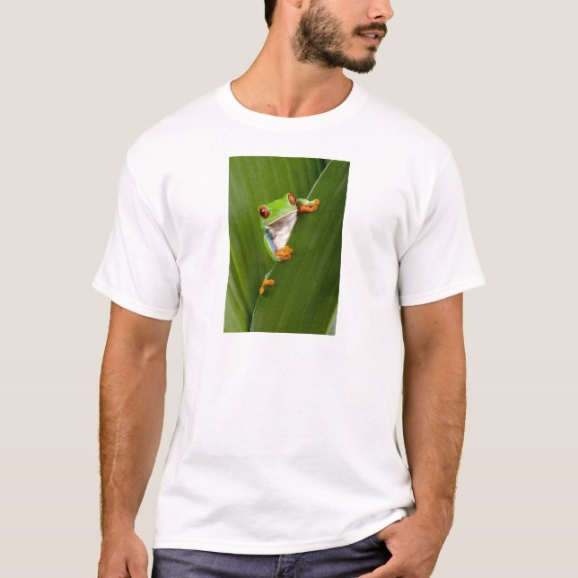 Red eyed tree frog T-Shirt (Vorderseite)