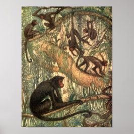 Red Faced Spider Monkeys von Louis Sargent Poster