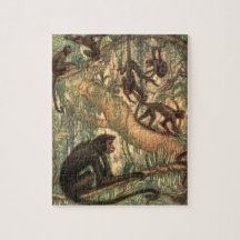 Red Faced Spider Monkeys von Louis Sargent