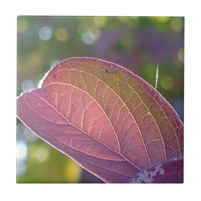 Red Fall Leaf und Bokeh Fliese (Vorderseite)