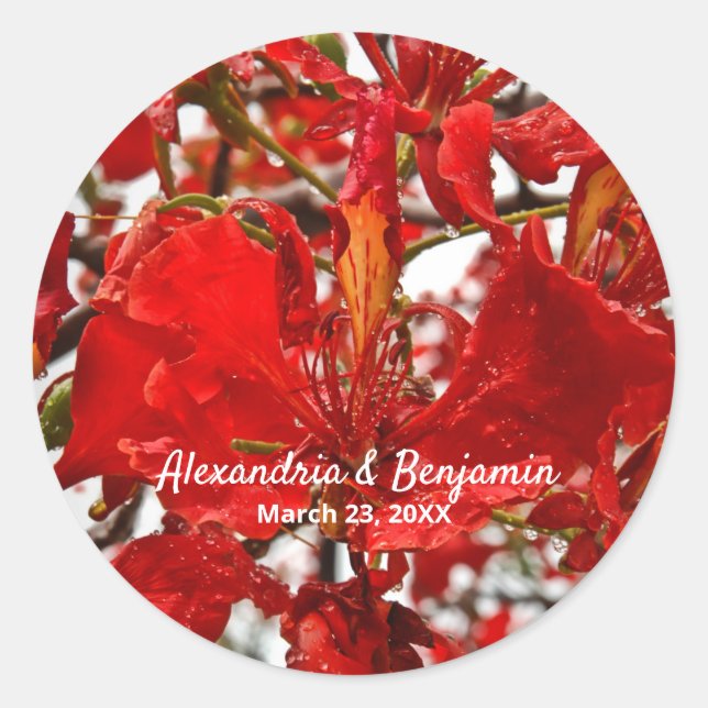 Red Floral Flamboyant personalize Nature Runder Aufkleber (Vorderseite)