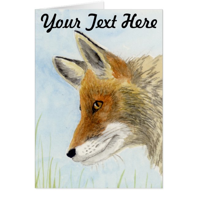 Red Fox (Vorne)