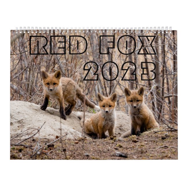 Red Fox 2023 - Kalender (Titelbild)