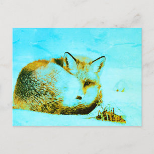 *~* Red Fox Ap18 Artistic Künstlerisch Animal Wild Postkarte