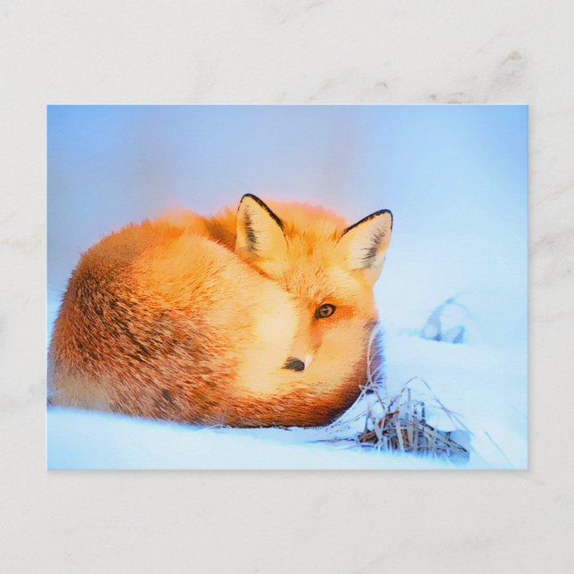*~* Red Fox Ap18 Artistic Painting Wildlife Künstl Postkarte (Vorderseite)