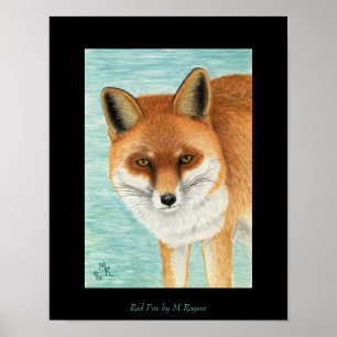 Red Fox Art Print Poster
