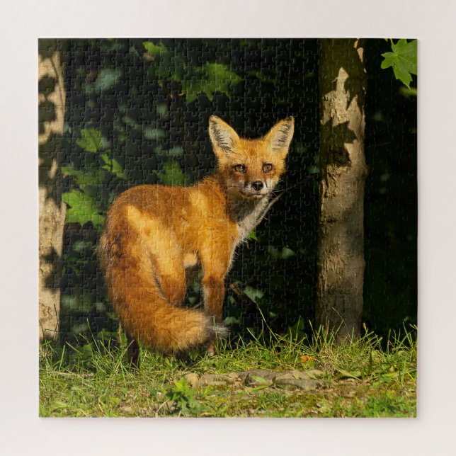 Red Fox Beauty Puzzle (Vertikal)