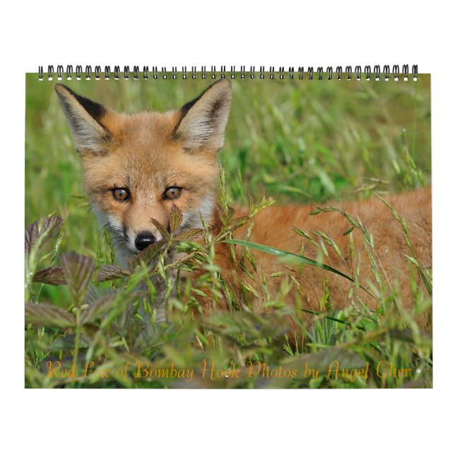 Red Fox Calendar by Angel Cher Kalender (Titelbild)